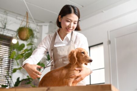 急成長中の動物病院グループ　【経理担当】★スタートアップ～ＩＰＯ準備★